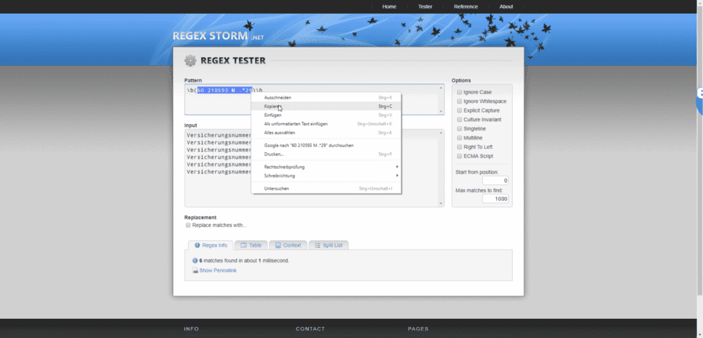 Regex Tester auf regexstorm.net/tester mit getestetem Regex für ecoDMS