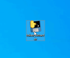Roborock token_extractor starten