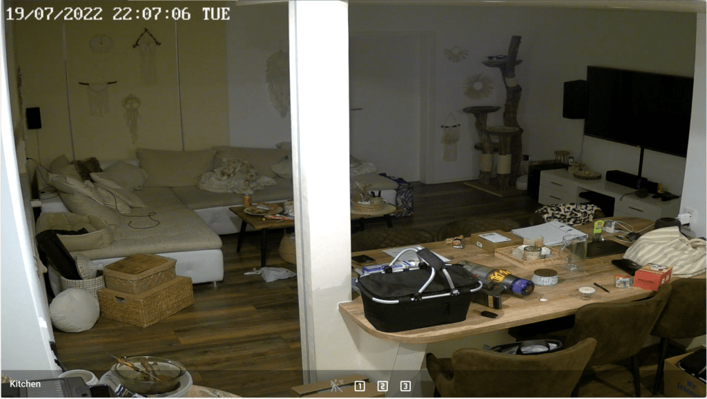 Home Assistant Skrypted Kamera Stream von reolink Cam